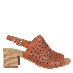 ΤΑΜΠΑ ΔΕΡΜΑ