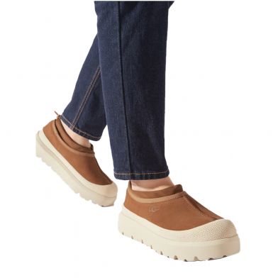 Ugg Ανδρικό Παπούτσι